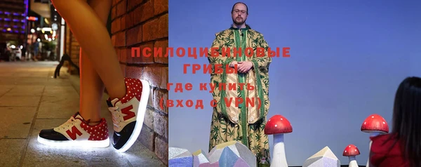 СК Кукмор