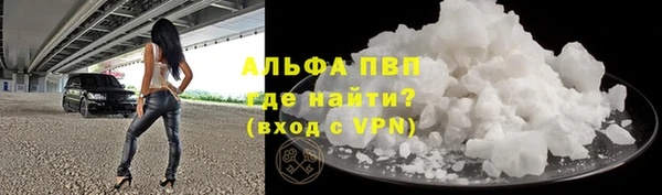 бошки Ладушкин