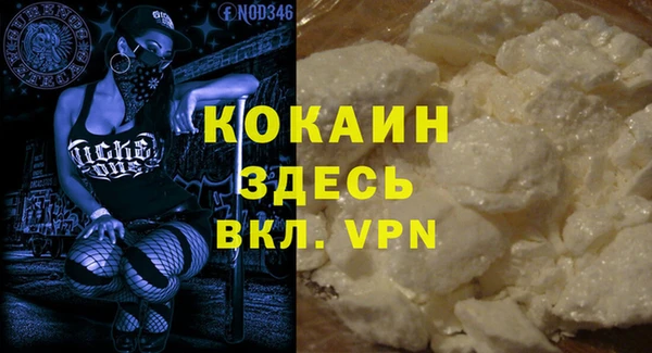 бошки Ладушкин