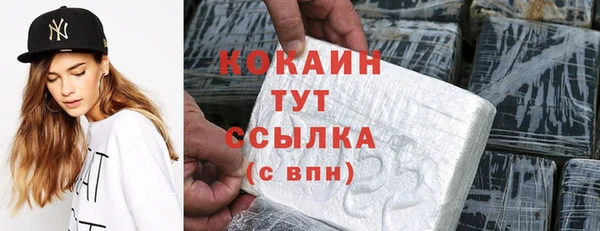 бошки Ладушкин