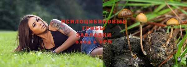 СК Кукмор